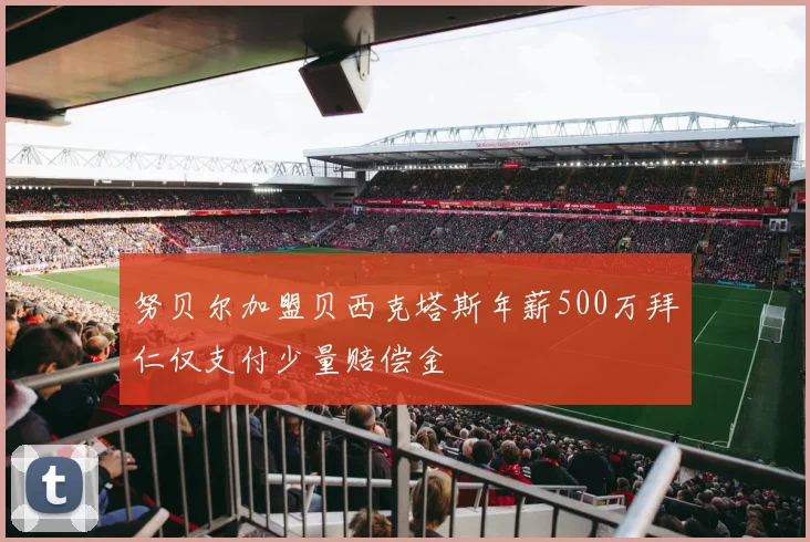 努贝尔加盟贝西克塔斯年薪500万拜仁仅支付少量赔偿金
